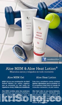 Aloe Msm Gel